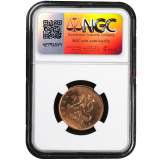 10 korun 2006 NGC MS 64